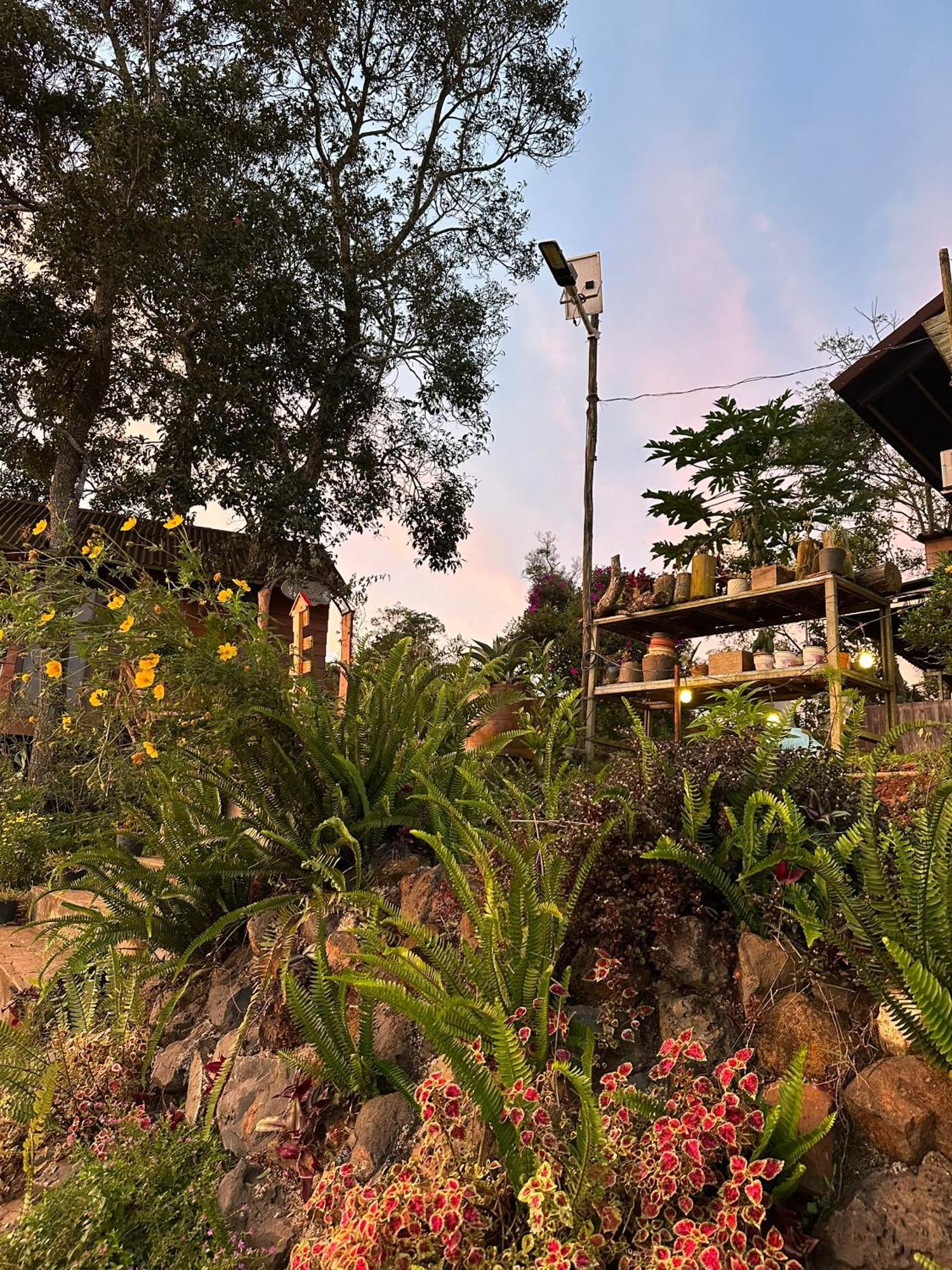 Ta Dung May Farm Bidong Exterior photo